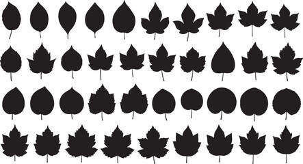 Fototapeta premium Collection of various black leaf silhouettes on white background