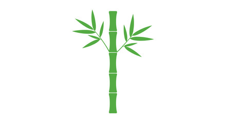 Naklejka premium Vector bamboo icon, green plant illustration