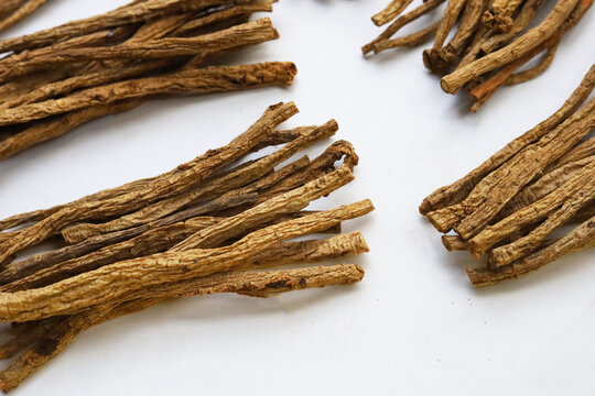 Dried brown Codonopsis root sticks used in Chinese herbal medicine.