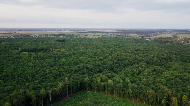 Aerial view of deforestation showing a vast forest with a clear-cut area for timber harvesting and land clearing
