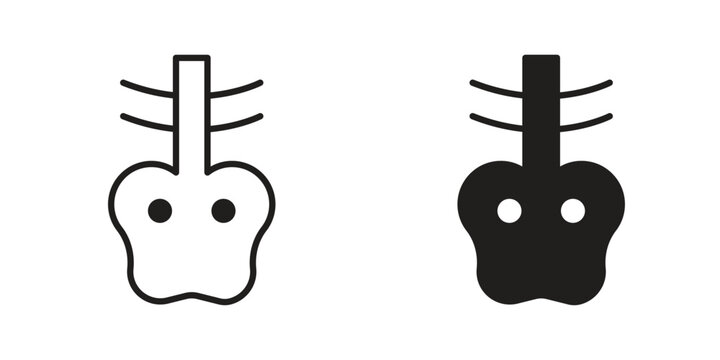 X ray icons. Vector illustration. Editable stroke. Isolated icon suitable for web,