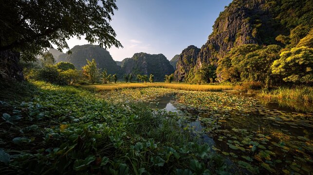 VietNam ninh binh tam coc karst valley coffee plants vietnamese summer
