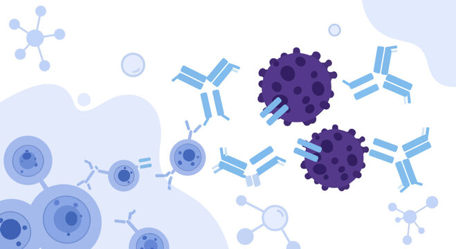 Antibodies attacking virus or bacteria cells in immune system response, medical illustration