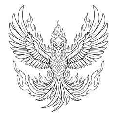 Fototapeta premium Legendary Rebirth Phoenix Line Art – Phoenix Vector Illustration with Balanced Mythic Flow – Phoenix Drawing – Line Art Drawing of Phoenix – Phoenix Icon