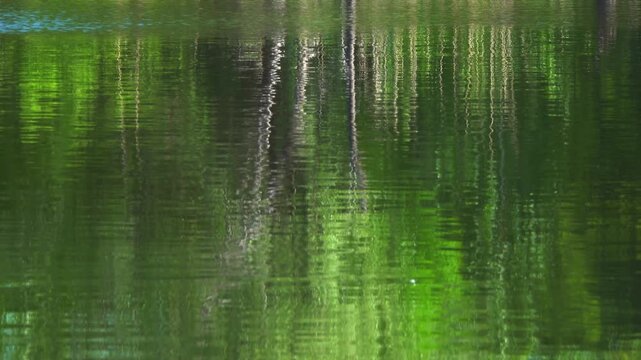 Vibrant Green and Silver Forest Reflections in Rippling River Waves.