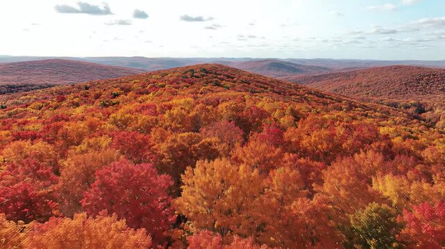 Autumn Hills Covered in Vibrant Orange and Red Foliage Under a Bright Sky for Seasonal Scenery