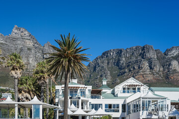 Fototapeta premium South Africa,Cape Town,Camps Bay,White coastal buildings with palm trees and mountain backdrop under clear blue sky