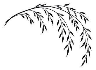 Obraz premium Line art illustration of a weeping willow branch depicting delicate foliage for nature decoration