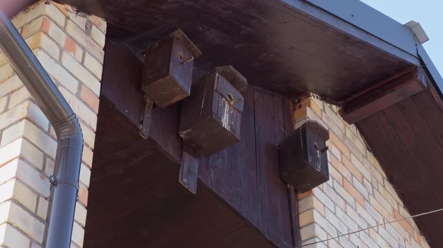 Birdhouses under eaves. Charming rustic bird residences featuring aged wood and subtle rust accents in peaceful garden setting