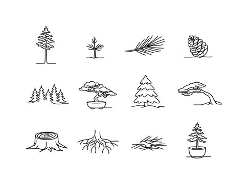Pine Tree Varieties. Minimalistic set one-line drawing [tall pine tree, young pine sapling, pine branch with needles, pine cone, pine forest silhouette, bonsai