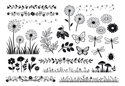 Hand drawn floral and nature elements set featuring dandelions, butterflies, and decorative borders for spring and summer designs