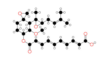 Naklejka premium fumagillin molecule, structural chemical formula, ball-and-stick model, isolated image antibiotic agent
