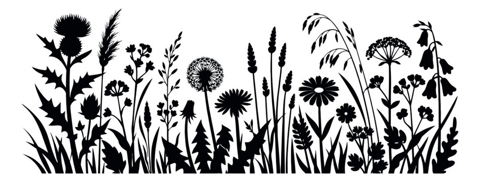 Stylized meadow plants set featuring various wildflowers and grasses for nature decoration