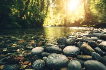Fototapeta premium Smooth river stones rest on a riverbank in a lush forest with bright sunlight filtering through the dense green canopy of a peaceful woodland.