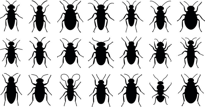 Insect silhouettes collection featuring beetles flies and bugs isolated on white background, detailed set of crawling insects for nature and biology design