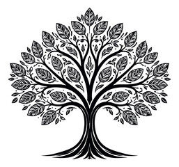 Obraz premium Stylized line art illustration of a tree depicting intricate foliage for decorative designs