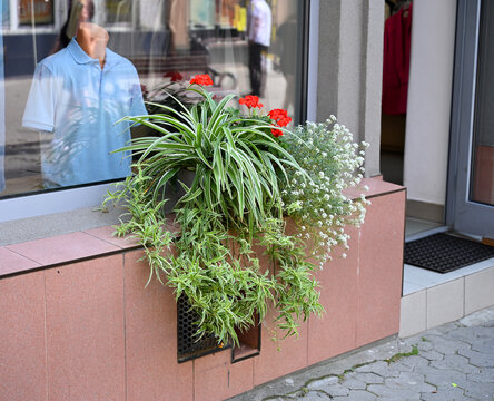 Storefront with Floral Display and Mannequin Reflection