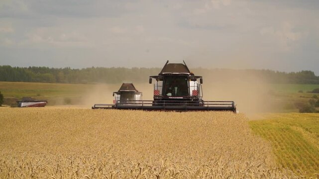 Work, combines, harvesting, wheat, tractor, moving, wheat field, autumn, picker, grain, field, harvest, season, beautiful, natural, airy, landscape