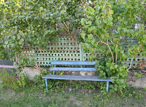 Weathered Blue Wooden Bench Against Perforated Metal Fence