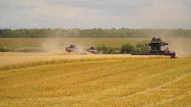 Work, combines, harvesting, wheat, tractor, moving, wheat field, autumn, picker, grain, field, harvest, season, beautiful, natural, airy, landscape