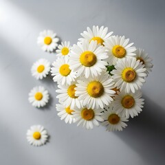 Obraz premium Close-up of a beautiful bouquet of fresh daisies on a gray background.