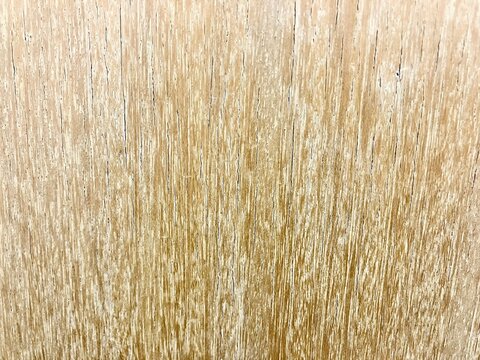 texture of wood old wall