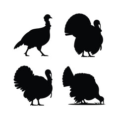 Fototapeta premium Wild turkey silhouettes collection: multiple poses for autumn and nature designs