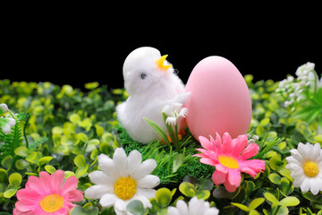 le poussin et un oeuf rose dans le pré © helenedevun