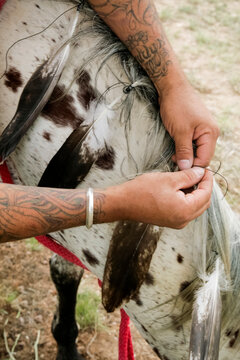 Nambe Pueblo, New Mexico, United States. Preparing horses for war dance.