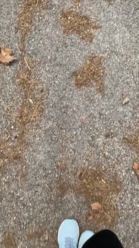 Scarpe da ginnastica, camminare sulla strada