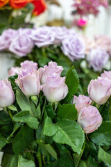 Obraz premium Light pink rose bouquet with green leaves and soft floral background in natural daylight
