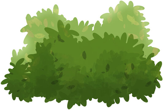 Vivid bush illustration suitable for environmental, gardening, or outdoor website designs.