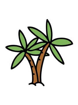 jiggle and pause animation of two brazilan beach palm trees