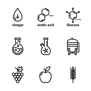 Collection of Icons Representing Vinegar Acetic Acid Glucose and Fermentation Ingredients.