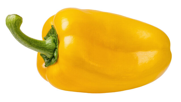 Isolated bright yellow bell pepper with green stem, healthy organic raw delicious vegetable