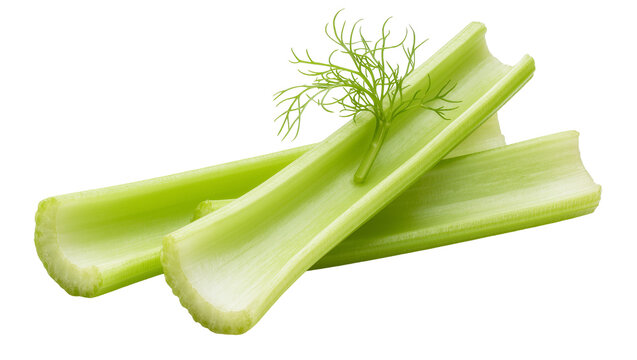 Isolated fresh green celery stalks with aromatic dill sprig for healthy cooking ingredient