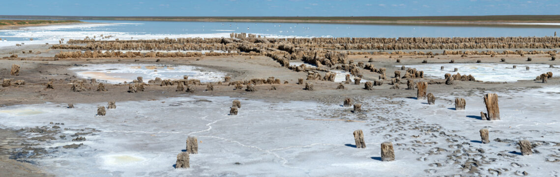 Panorama of the salt lake Elton ("Russian Dead Sea"). Volgograd region, Russia