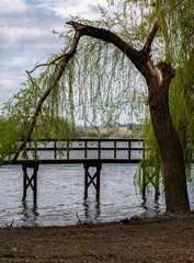 Fototapeta premium bridge over the river