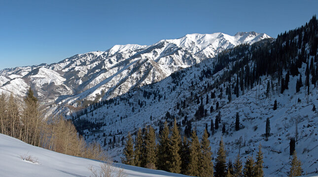 Epic winter panorama of peaks and glacier ridges of Trans-Ili Alatau mountains seen from Kok Zhailau ridge