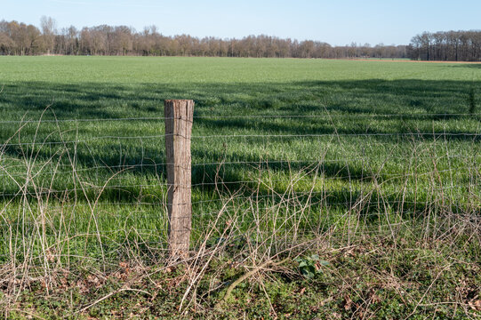Wooden fence post separating green field and rural nature