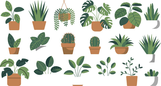 Houseplants set for home decor featuring succulents, exotic flowers, monstera, ficus, pothos, yucca, dracaena, cacti, and snake plants vector illustration