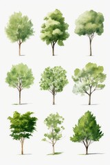 Fototapeta premium A beautiful image featuring a bunch of trees painted in watercolor. This picture can be used for various projects, such as nature-themed designs, art prints, greeting cards, and more.