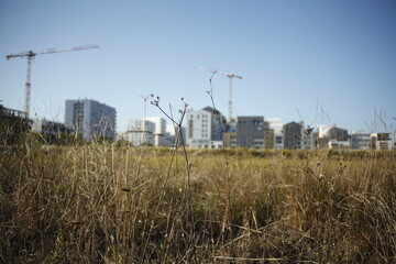 L'avancée de Montpellier à Port Marianne © Timothée Calame
