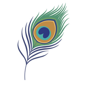 Minimalist peacock feather icon illustration isolated on transparent background 