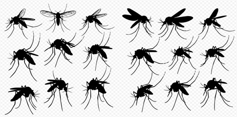 Set of black mosquito silhouettes on transparent background, insect vector illustration. © Akun