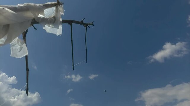 Plastic Bird Scarer in Rice Field Blowing in the Wind Under Blue Sky