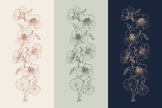 Set of three vertical floral borders with hand drawn nasturtium flowers. Vintage botanical line art illustration in different color palettes. Isolated vector graphics. For invitations, greeting cards