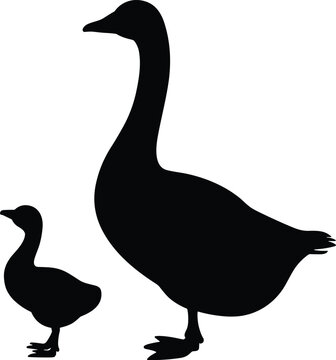 Black silhouette of a mother goose and her small baby gosling walking together isolated on a white background vector illustration.