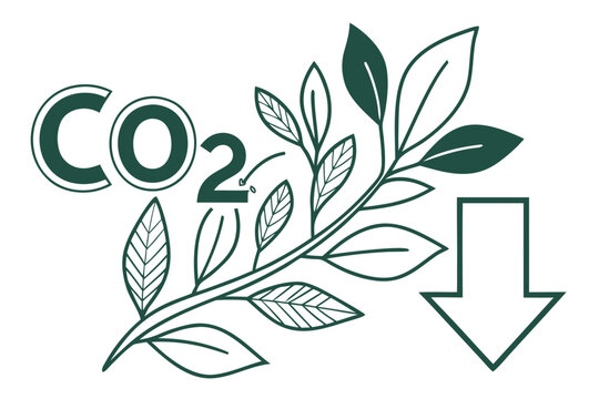 Carbon dioxide reduction through plant absorption