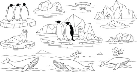 Fototapeta premium Arctic Wildlife Coloring Page Vector Set Featuring Penguins, Seals, Whales, Icebergs, and Polar Ocean Scenes in Outline Cartoon Style